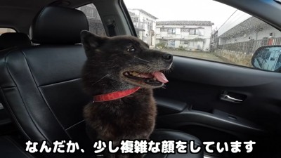 お別れは辛いけれど、会えてよかったね!