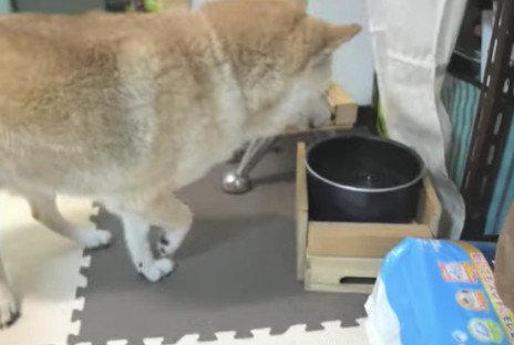 上手く歩けなくなっても…