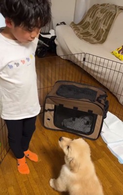 見つめ合うふたり