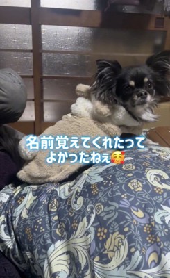 ママの言葉を聞いてます