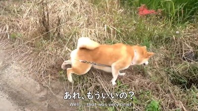 意外と冷めるのが早い(笑)