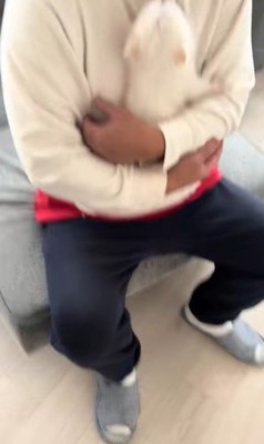 八角くんとお父さんの初対面4