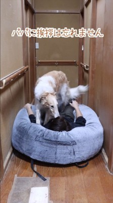 まずはご挨拶するマデラちゃん