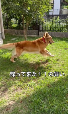 ララちゃんの熱烈歓迎6