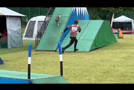 障害物をクリアするみかづきちゃん