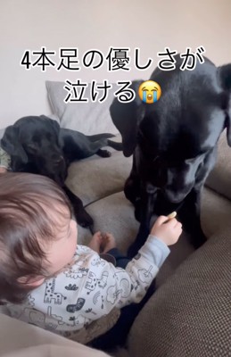 おやつを差し出す赤ちゃん