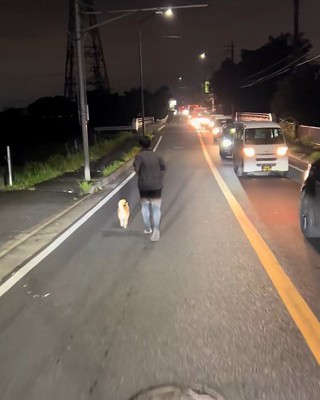 必死に追いかける投稿主さん