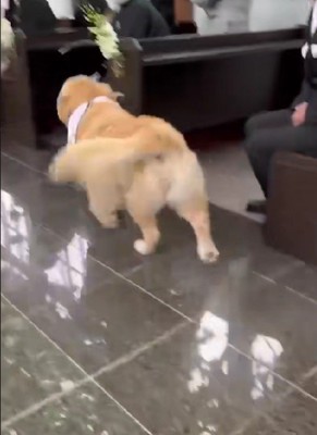 「本当にみんなありがとう！！」