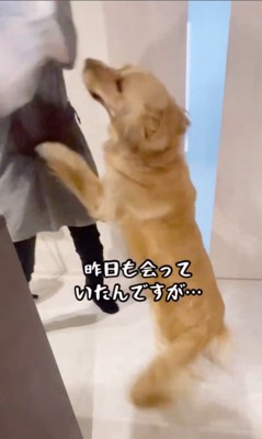 おばちゃんに会えて大興奮のリサちゃん4