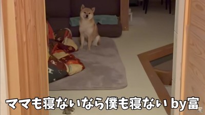 「ママと一緒がいい」