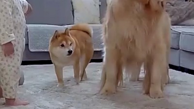 うにくんも自ら輪の中へ