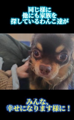 幸せを掴んだしずと君⑩