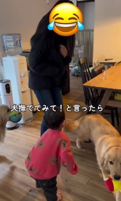 「撫でてみて」