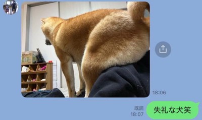 失礼なふうたくん