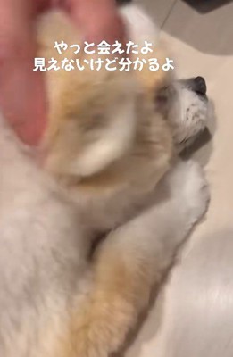 見えなくても絆は変わらない