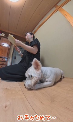 飽きてきてお手々をペロペロ