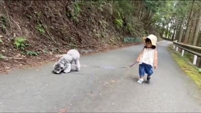 小型犬を散歩させる女の子