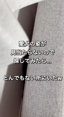 ソファと壁の隙間