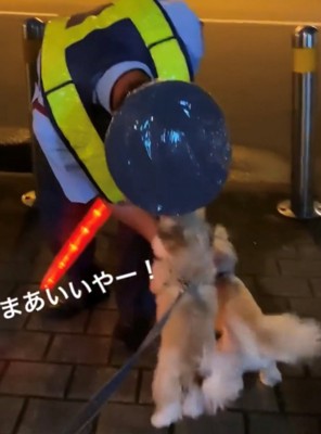 警備員に飛びつく犬