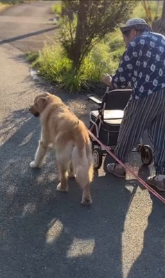 ゆず君とおばあちゃん7