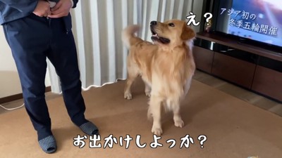 え？お出かけ…！？