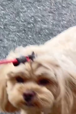 態度の違いが恐ろしい…！！