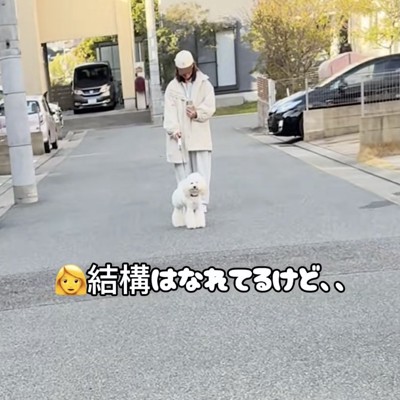 見られてる…?