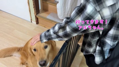 アルト君にさよならするお姉ちゃん