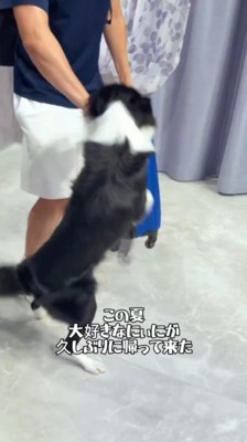 帰省した男性に飛びつく犬