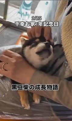 千幸ちゃんとご家族の1年間