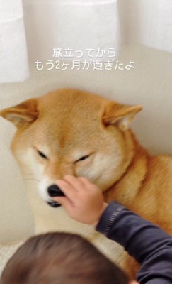 実感は湧かないけれど…