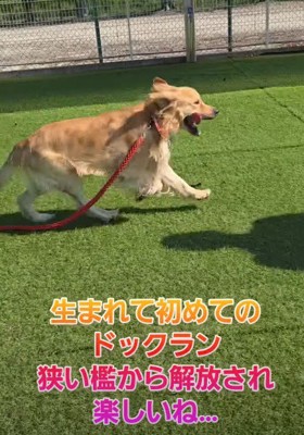 穏やかな毎日になった