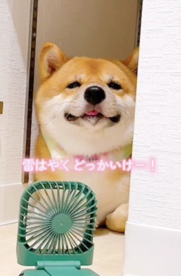 はやく終わると良いね