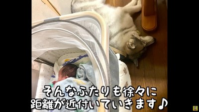徐々に距離が縮まる