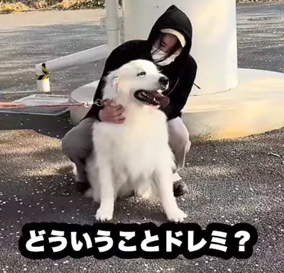 パパから種明かし