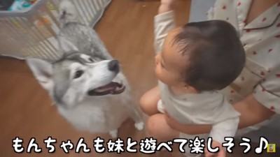 楽しそうなもんちゃん