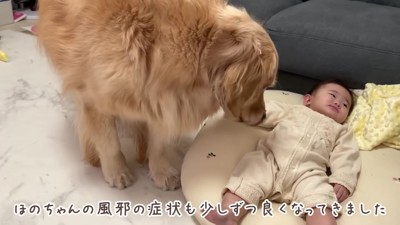 風邪を引いたほのかちゃん