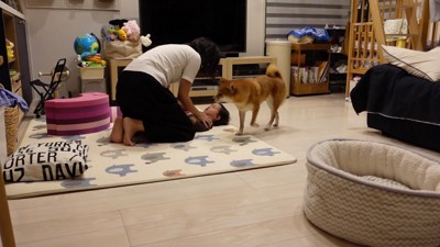 うろたえる花子ちゃん