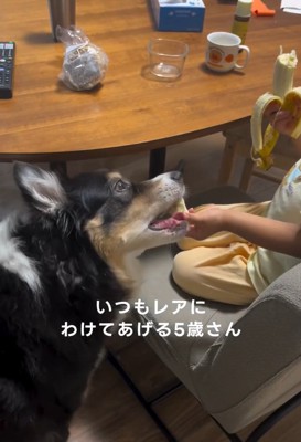 おすそわけする息子さん