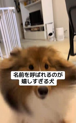 名前を呼ばれた時のリックくん4