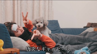 ソファで横になりながらカメラにピースを見せる飼い主と、飼い主の胸の上でくつろぐ犬