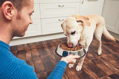 飼い主の手から食べる犬