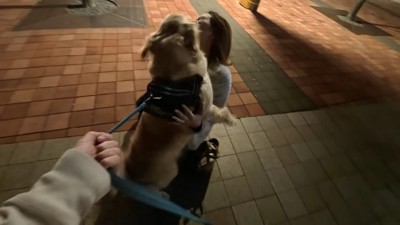 感動の再会に涙