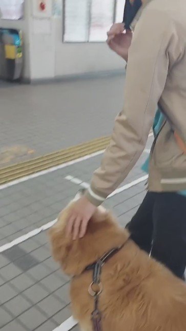 別れを惜しむお兄ちゃん