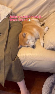 お姉ちゃん帰省時の小春ちゃん＆小太郎くん4