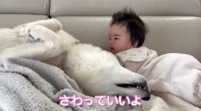 赤ちゃんのそばで寝転ぶ犬