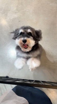 気づいた瞬間に大喜び!