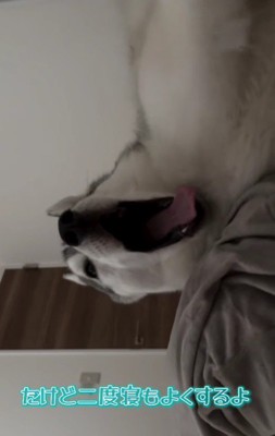 一番早起きの珀くん