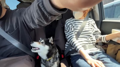 「騙された!ひどい!」