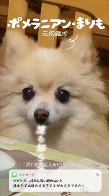 まりもちゃんの変化